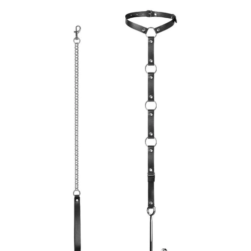 Hook 5853 and Leash Kinky Collar EverydayUse with Anal 0919